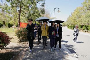 川美手工藝術(shù)學(xué)院與藝術(shù)設(shè)計(jì)學(xué)院課程研討交流會策劃方案